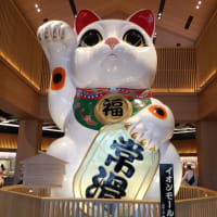 一日中元気だ