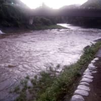 狩野川増水