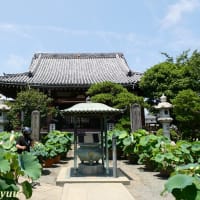 平塚の蓮寺として人気高い「松雲山要法寺」