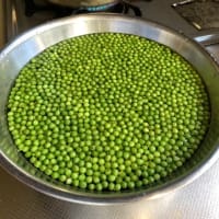 秘められた大和パワー山椒を深掘り　序