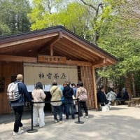 2024年春🌸　北海道グルメ旅　北海道神宮と円山公園