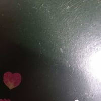 朝の私