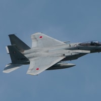 ６／１０　千歳　Ｆ１５