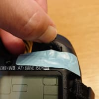 EOS50D 電子ダイヤル修理😉