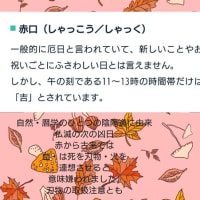 赤口　ふゆはな利紗📝メモです✨😊💞