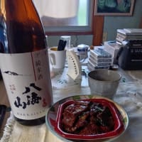 宮ちゃんの家へ行く