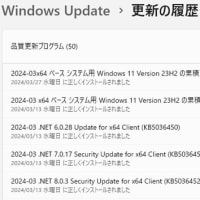 Windows 11 バージョン 23H2 に「Windows 構成の更新プログラム(KB5035942)」が知らぬ間にインストールされていました。