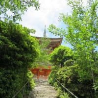 国宝建築物探訪　広島県尾道市　向上寺