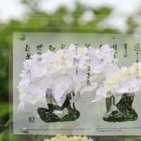 名言の寺