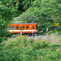 久しぶりに、秩父線
