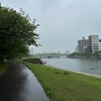 広島市は雨・・・シトシト雨が降り続いています　明日も雨の予報です