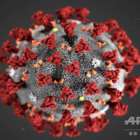 日本列島からウイルスとワクチンで日本人が消える日!!