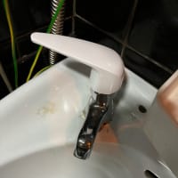 今日は休みなのですが^_^