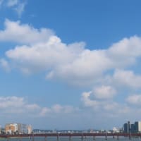 ２０２５．０７．０１　今日のブログ