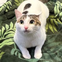 6月もメイちゃんは元気です😽
