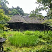 東京の福島鍼灸院