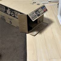 続・わくわくｗ