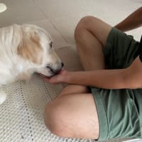 食べた！