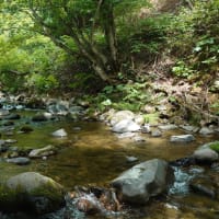 噴火湾サーフのち渓流…