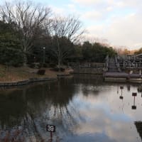 伯耆古代の丘公園へ