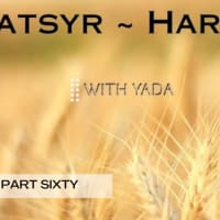 Qatsyr ~ Harvest Part Sixty