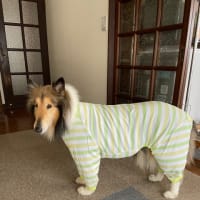 つばめのパンナイフ