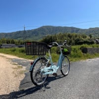 少しだけ朝サイクリング。