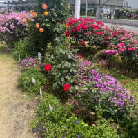 ＰＥＴ検査　疲れる