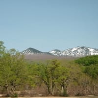２０２５年５月１３日　北八甲田　睡蓮沼から萱野高原　　