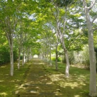 釧路、帯広の旅