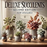 TANIKU様 相府連 Deluxe TANIKU】 - 多肉植物専門店ビスタ公式ブログ 埼玉