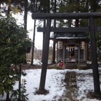 賽銭が今の時世を反映す