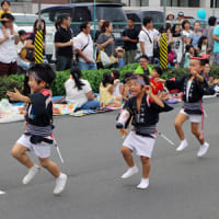 越谷阿波踊り