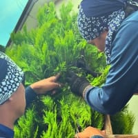 今年も小林植木では高卒採用活動を行っています。