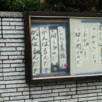 ぶらっと歩きの風景in水戸(2-82)
