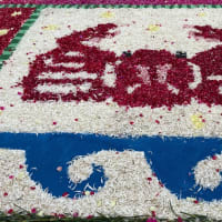FLOWER  CARPET  2025
