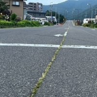 小さなことから コツコツと 西川きよし 野球小僧