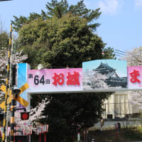 郡山城さくらぶらぶら7日
