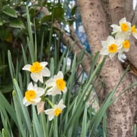 春、ときどき冬に戻る
