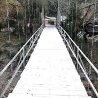 VOL.389  凍るつり橋