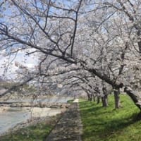 お引越し