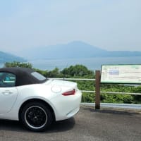 ドアウェッジ考察…