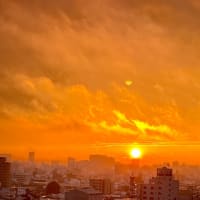 2025年の朝日ではなく