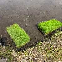 準備万端ですよ～