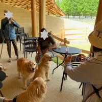有馬・びわ湖ツアー（３）