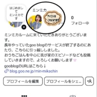 インスタを開設してみました