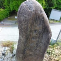 お墓は草で一杯。
