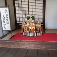 梅の花が満開