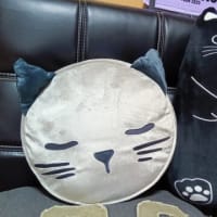2ショット