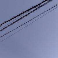 2025/07/12（土）玄関外までお出迎え